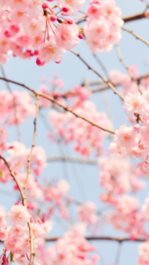 療養の仕方～step1～