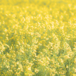 療養の仕方~step2~